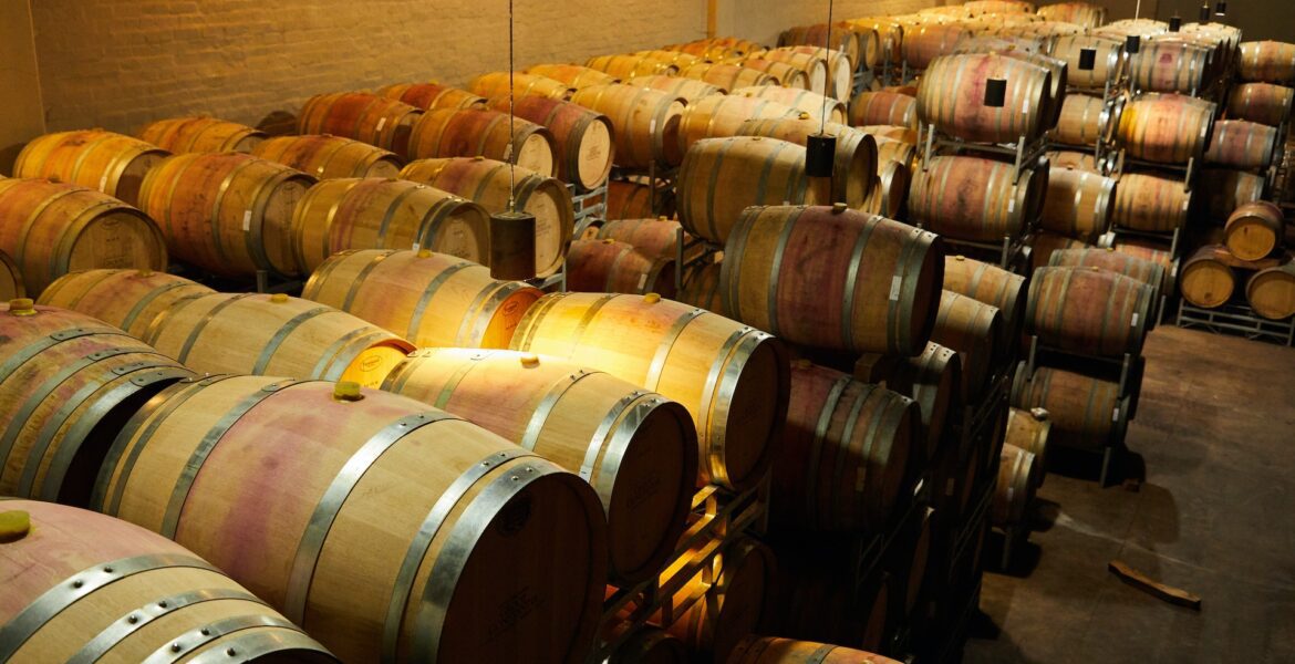 Enoturismo Argentino 2022