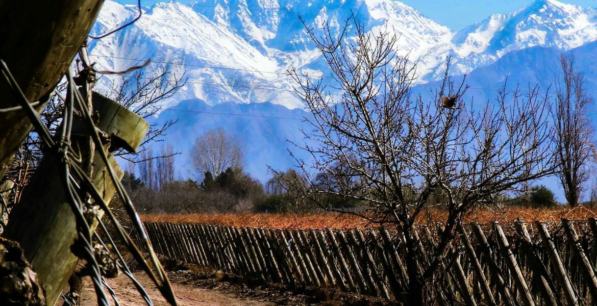 CAME San Rafael Mendoza