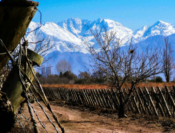 CAME San Rafael Mendoza