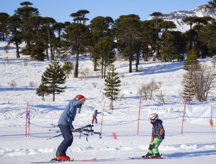 Turistas brasileños