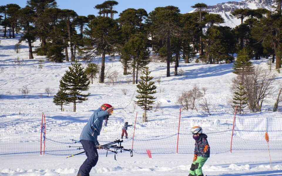 Turistas brasileños