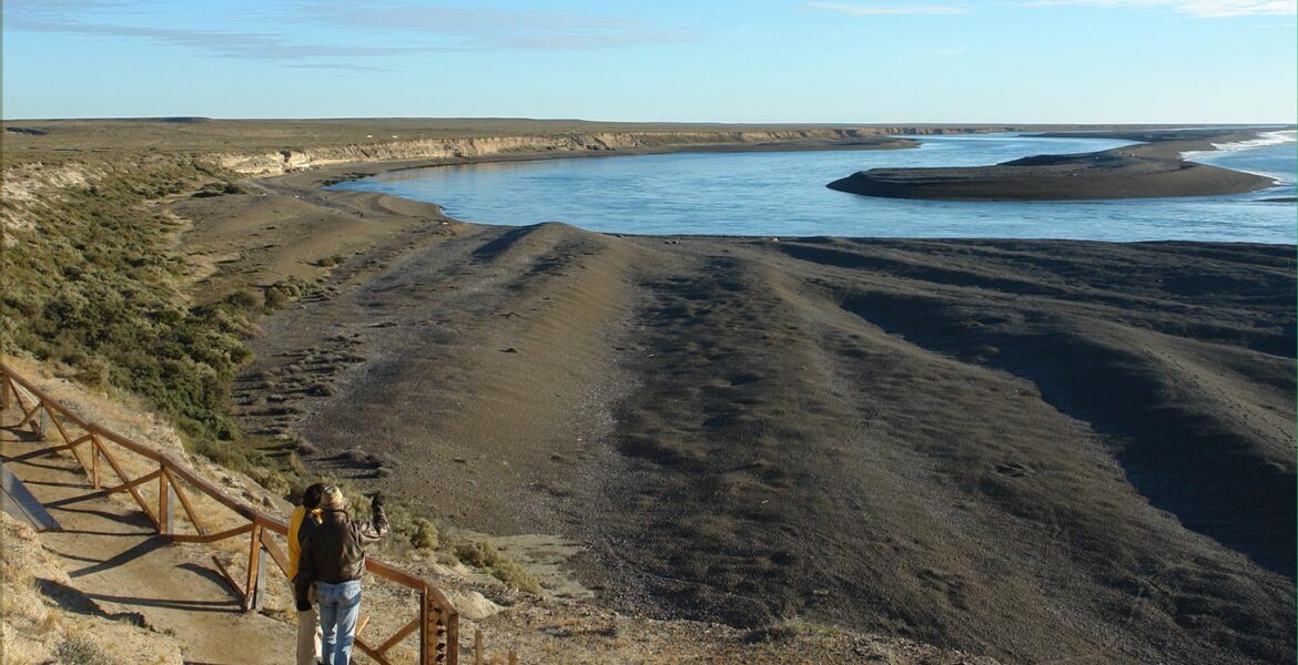 Temporada de Ballenas