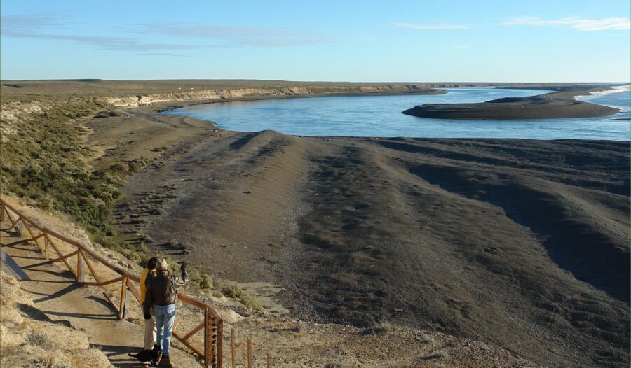 Temporada de Ballenas