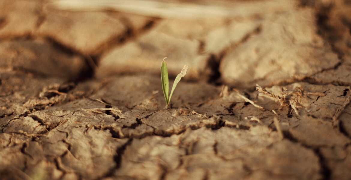 sequía
