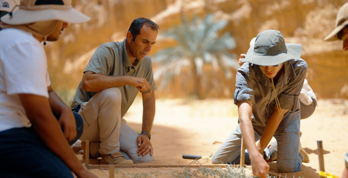 Restauración Ecológica