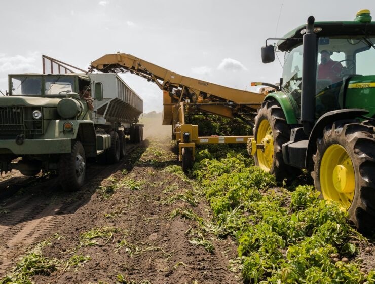 produccion agricola