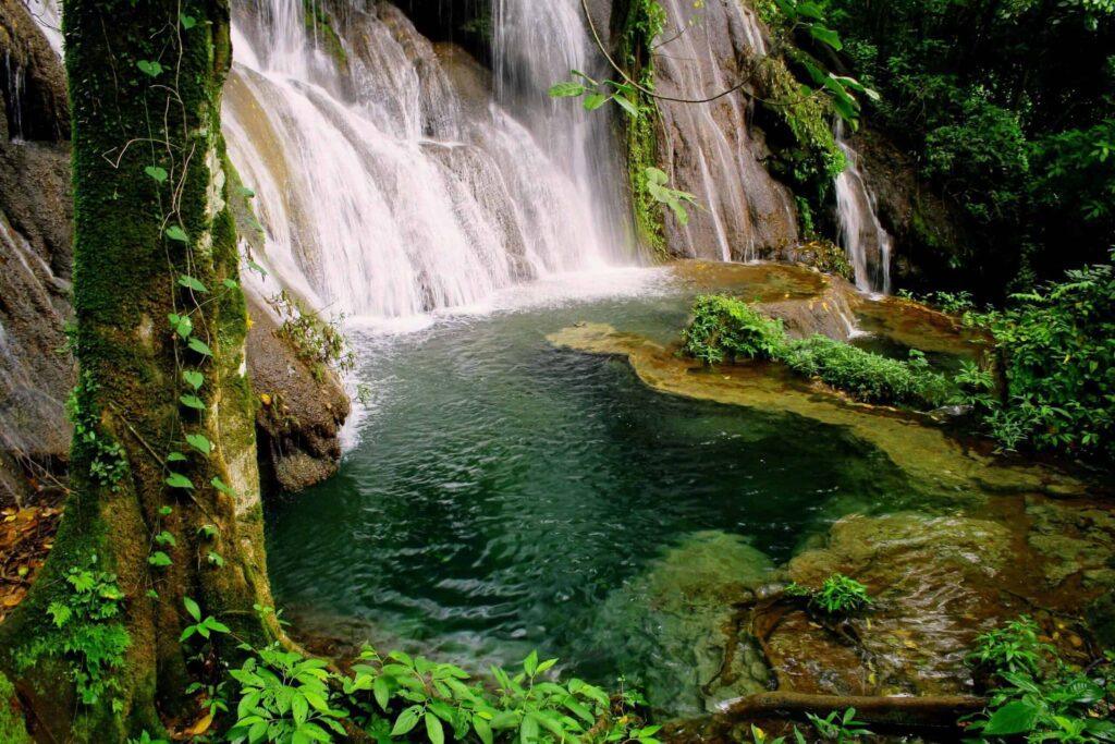 Mato Grosso do Sul