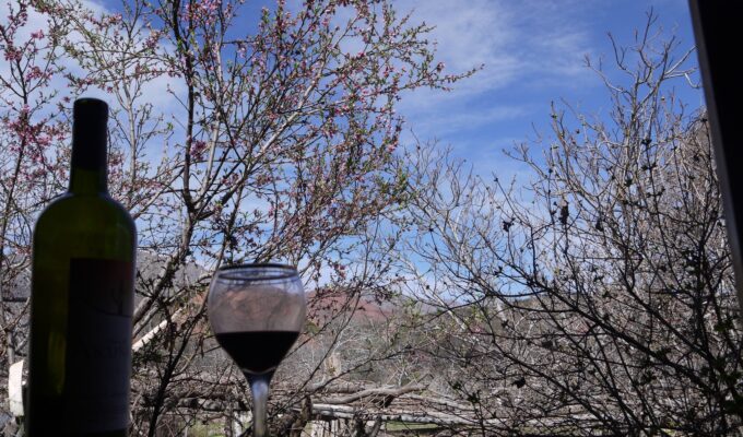 Departamento Felipe Varela -