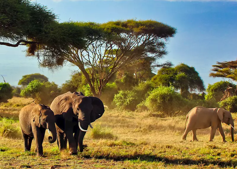 Experiencias culturales