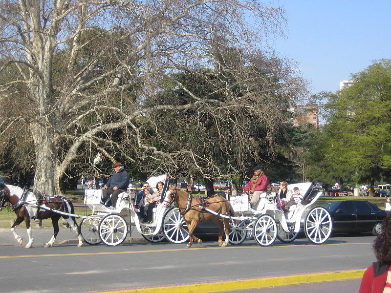 Como Moverse en Buenos Aires