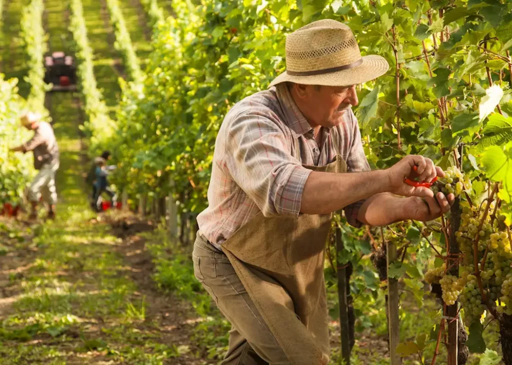 países vinicultores