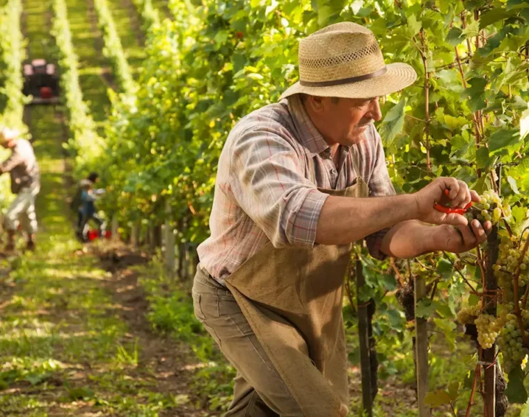 países vinicultores