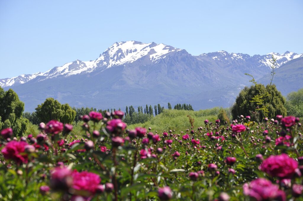 Esquel