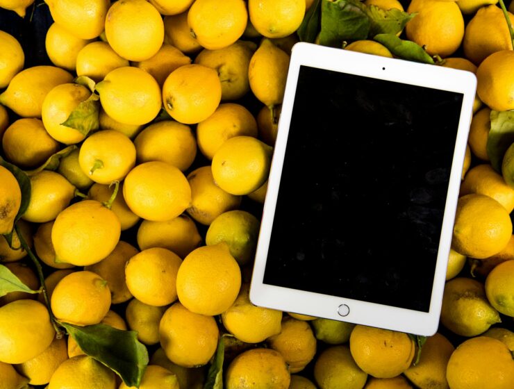 economías regionales