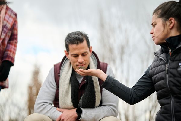 Coolcation Coolcation