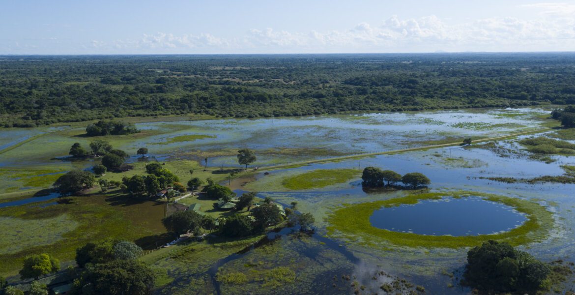 Pantanal