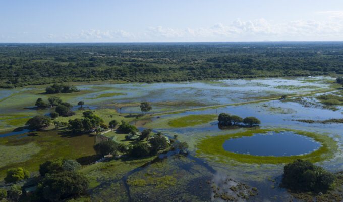 Pantanal