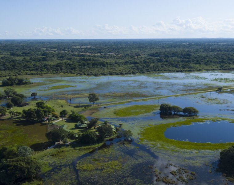 Pantanal