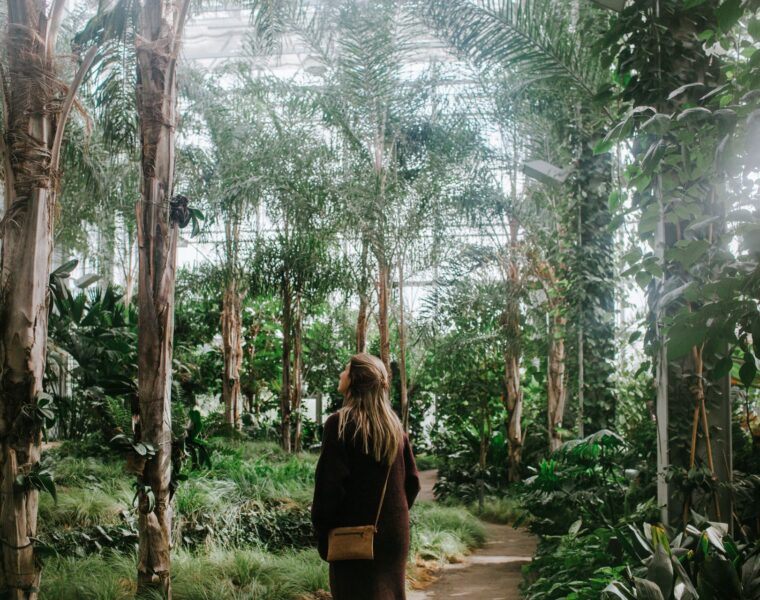 Estadías Sustentables