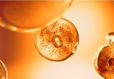 Vitamina C Vitamina C