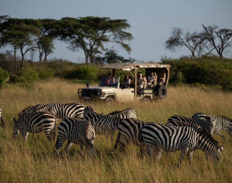 Mahali Mzuri