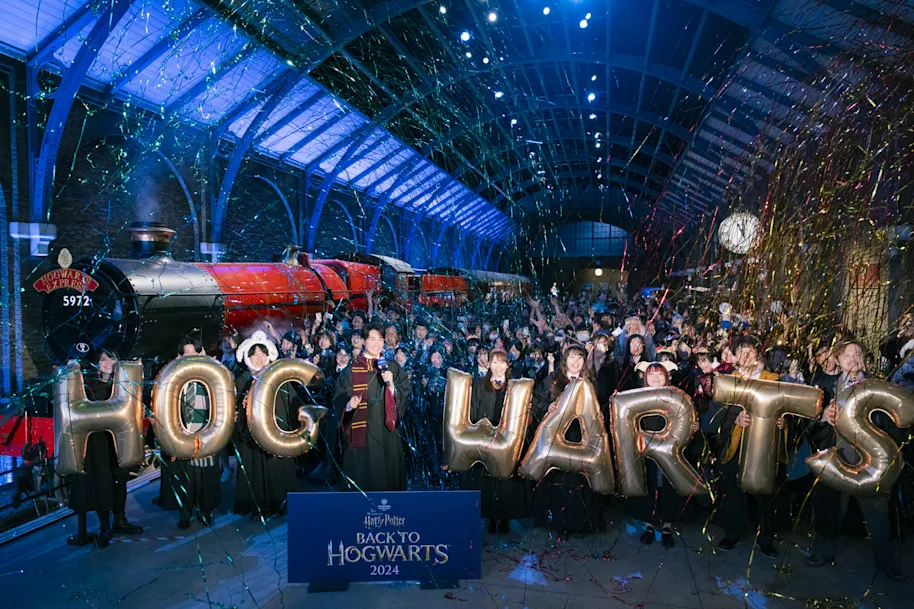 Harry Potter Harry Potter