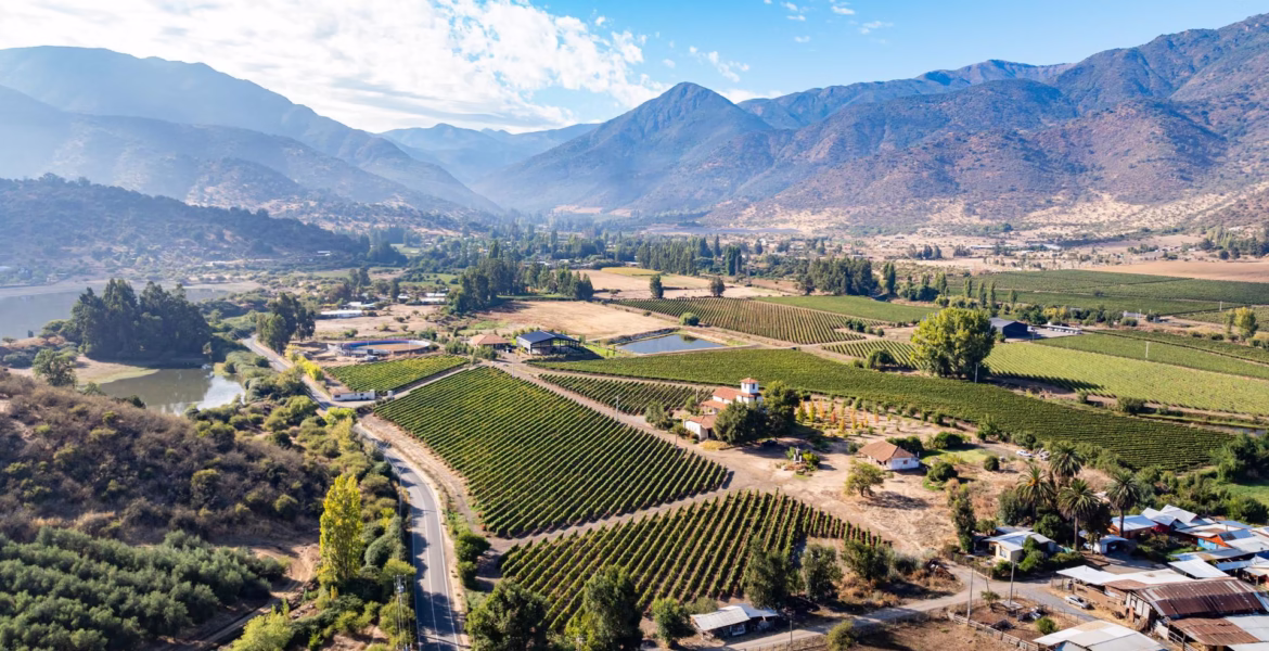 Chile viñedos