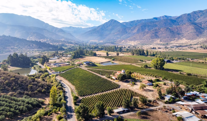 Chile viñedos