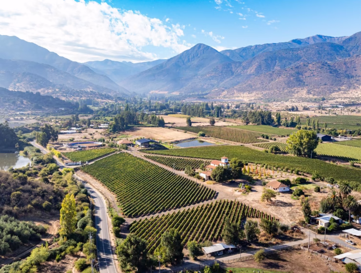 Chile viñedos
