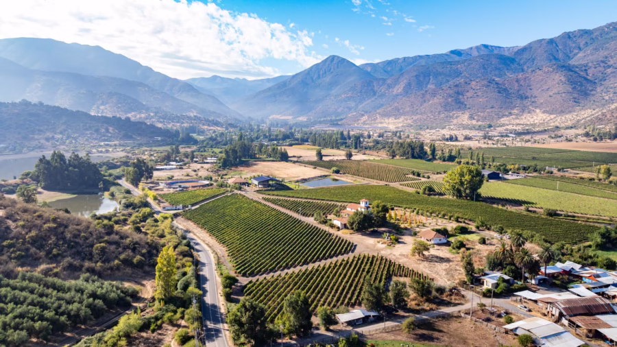 Chile viñedos